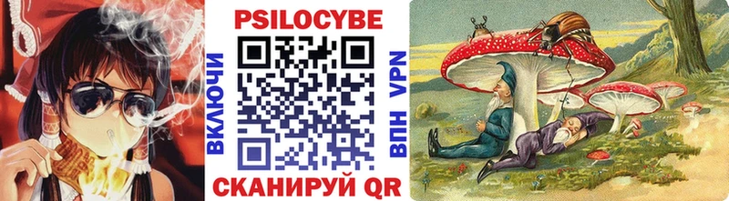 цены   Вологда  Псилоцибиновые грибы прущие грибы 